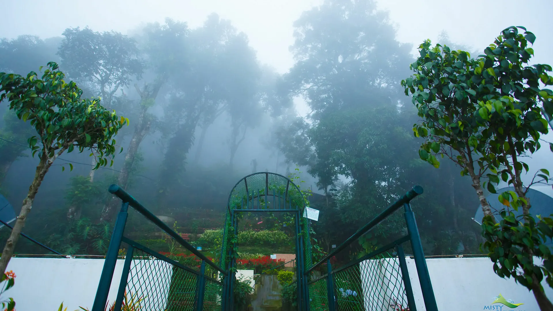 Misty Mountain Resort Munnar