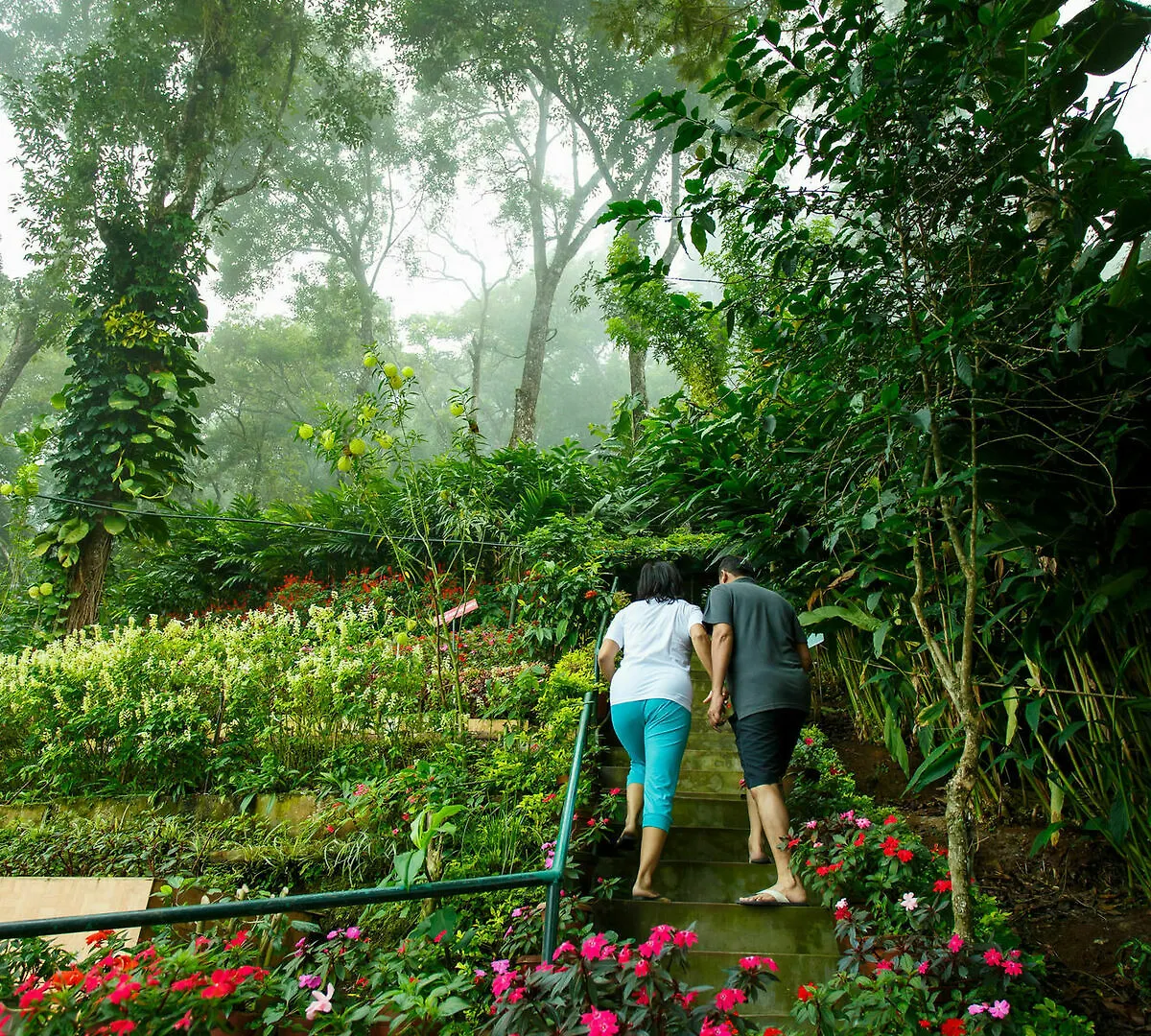 Misty Mountain Resort Munnar