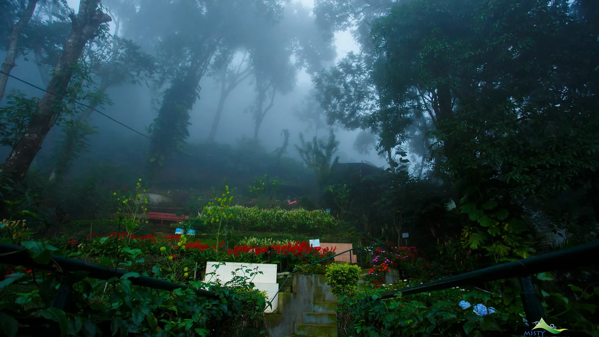 Misty Mountain Resort Munnar
