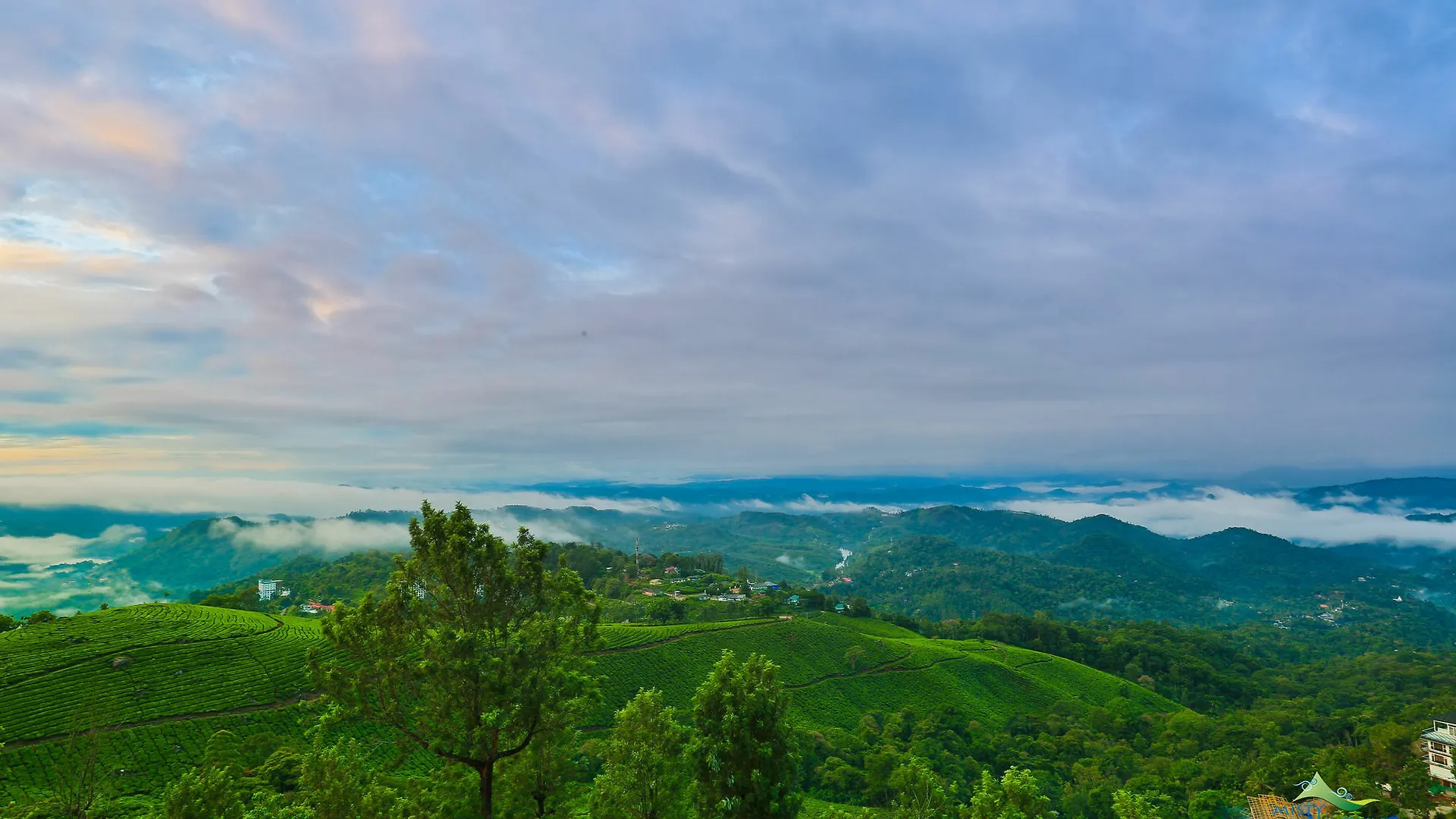 Misty Mountain Resort Munnar India