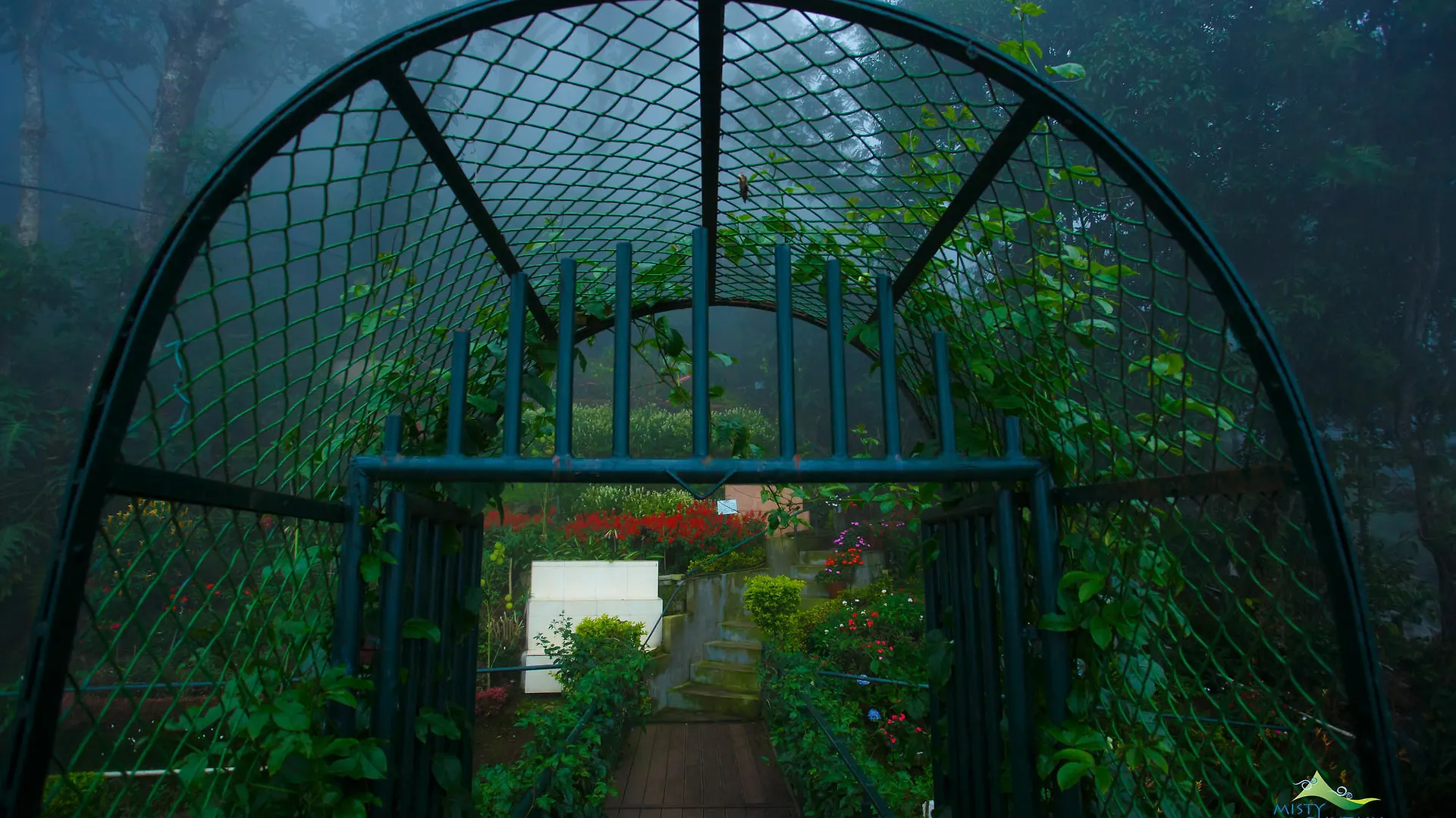 Misty Mountain Resort Munnar 3*,  Ινδία