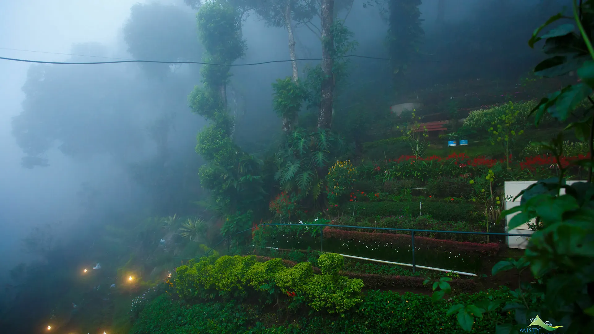 Misty Mountain Resort Munnar