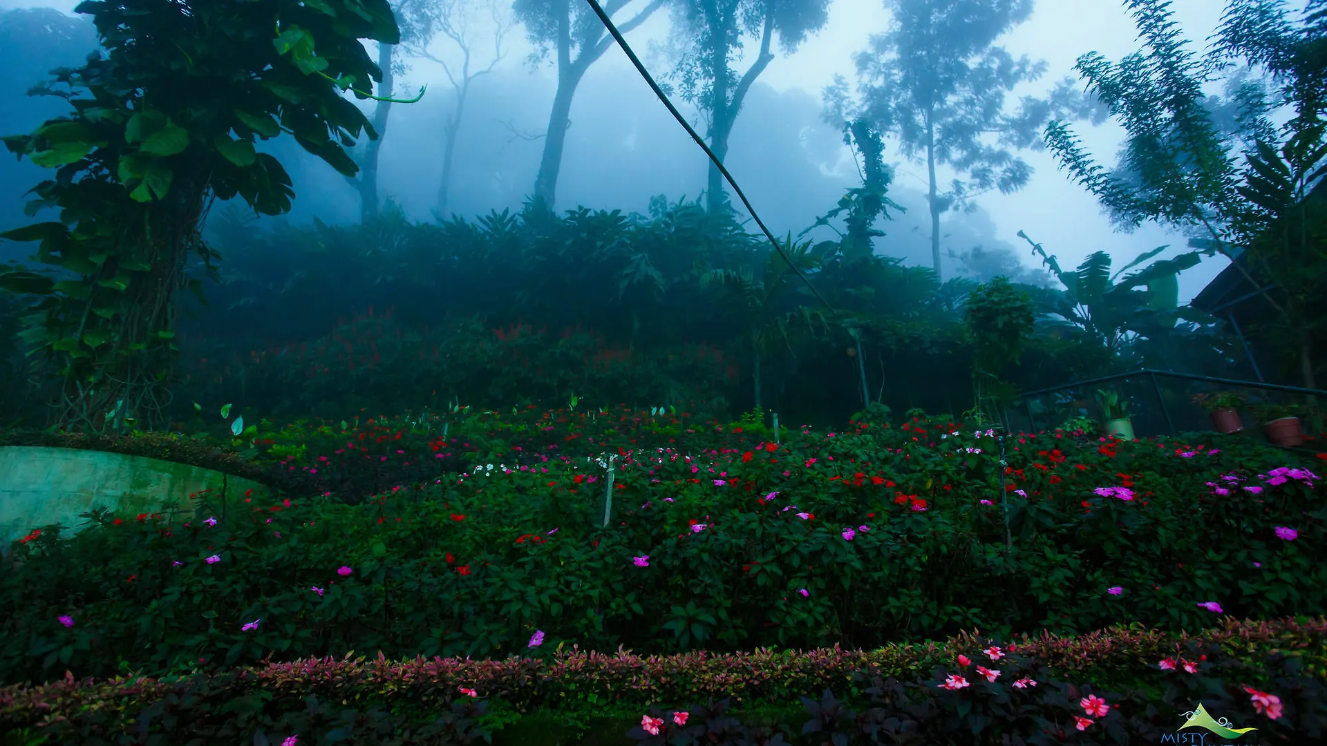 Misty Mountain Resort Munnar 3*,