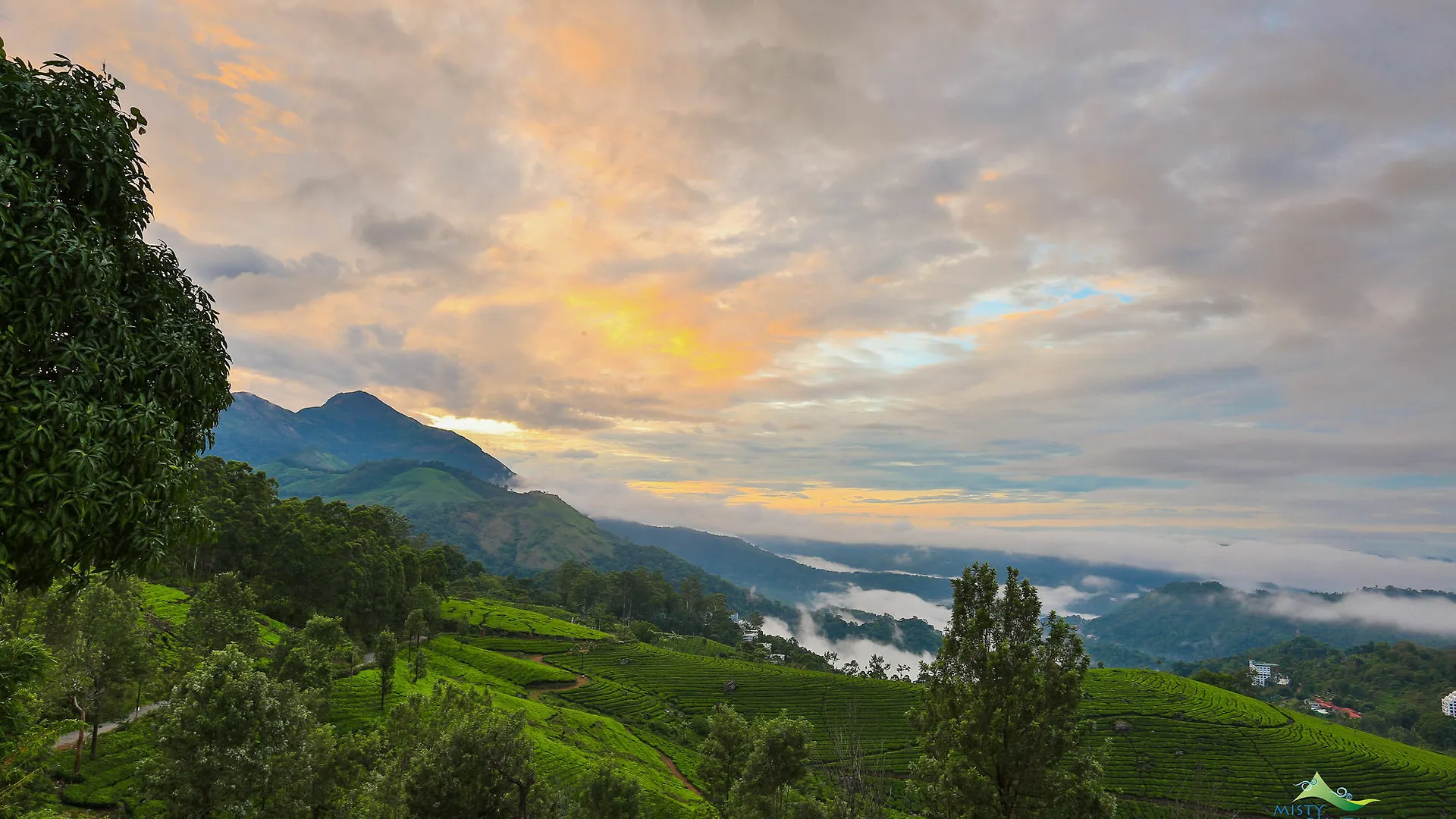 Misty Mountain Resort Munnar